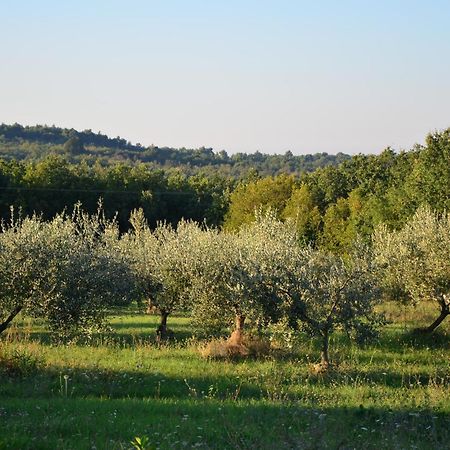 Villa Olivetta By Istrian Country Houses Barat  외부 사진