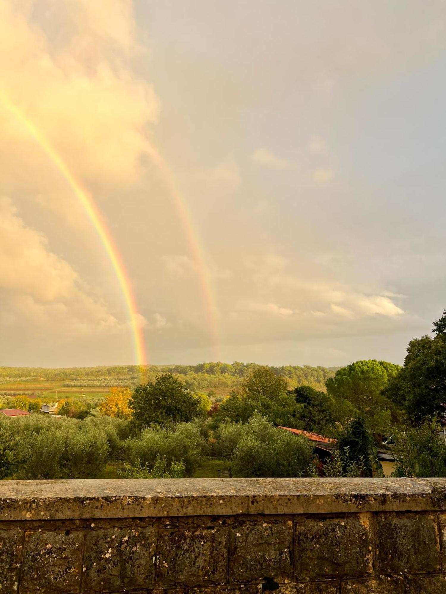 Villa Olivetta By Istrian Country Houses Barat  외부 사진
