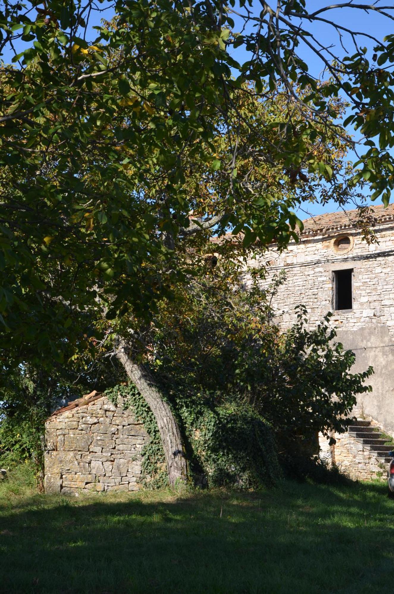 Villa Olivetta By Istrian Country Houses Barat  외부 사진