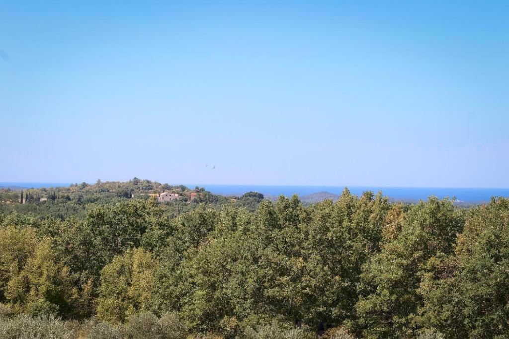 Villa Olivetta By Istrian Country Houses Barat  외부 사진